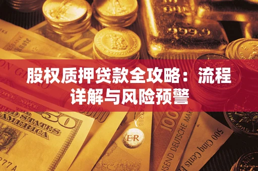 武汉股权质押贷款全攻略：流程详解与风险预警