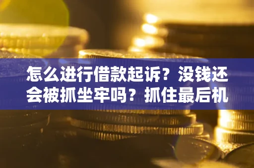 武汉怎么进行借款起诉？没钱还会被抓坐牢吗？抓住最后机会！