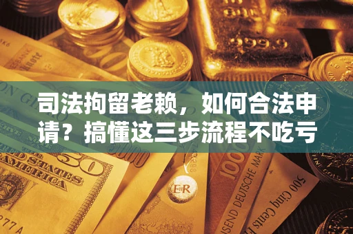 武汉司法拘留老赖，如何合法申请？搞懂这三步流程不吃亏！