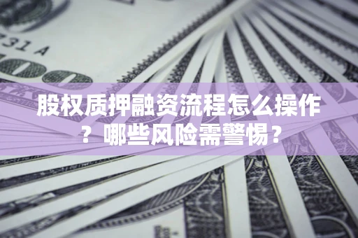 武汉股权质押融资流程怎么操作？哪些风险需警惕？