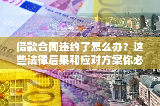 武汉借款合同违约了怎么办？这些法律后果和应对方案你必须知道