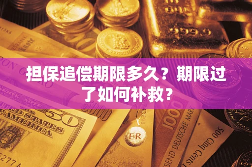 武汉担保追偿期限多久？期限过了如何补救？