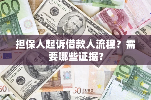 武汉担保人起诉借款人流程？需要哪些证据？