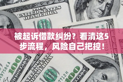 武汉被起诉借款纠纷？看清这5步流程，风险自己把控！
