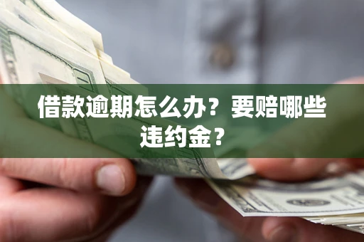 武汉借款逾期怎么办？要赔哪些违约金？