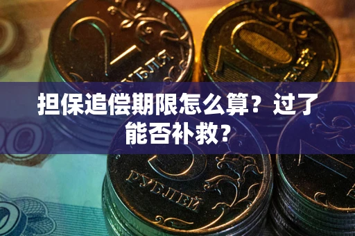 武汉担保追偿期限怎么算？过了能否补救？